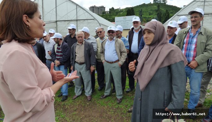 Çiftçiler fındıkta verimli tarımı öğreniyor