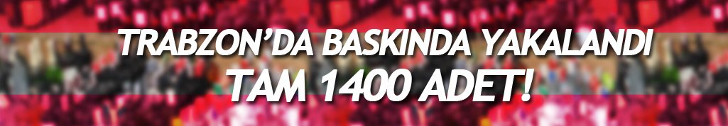 Trabzon Beşirli’de baskında 1400 adet ele geçirildi