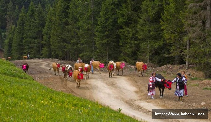 Çepniler Binlerce Yıllık Geleneği Sürdürüyor