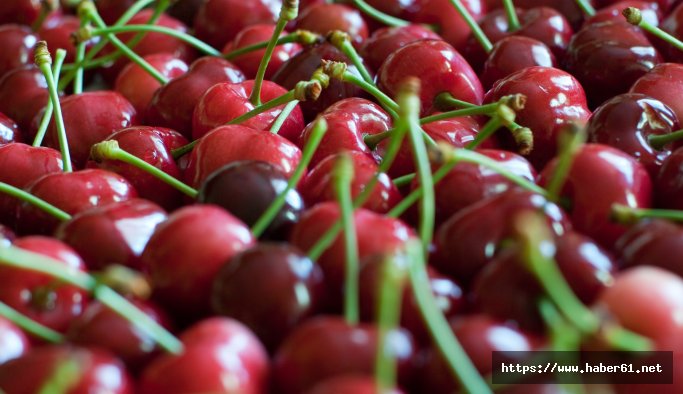 Karadeniz'den Rusya'ya 538 ton kiraz ihraç edildi