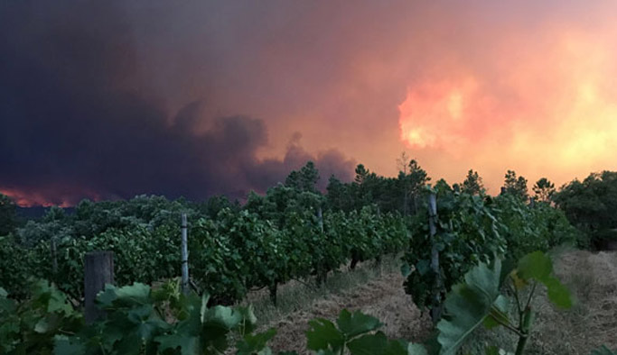 Yangında 39 kişi öldü