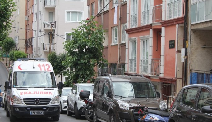 Yine bonzai dehşeti