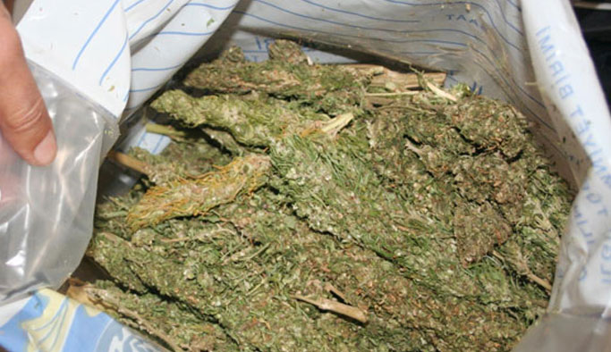 268 kilo esrar ele geçirildi