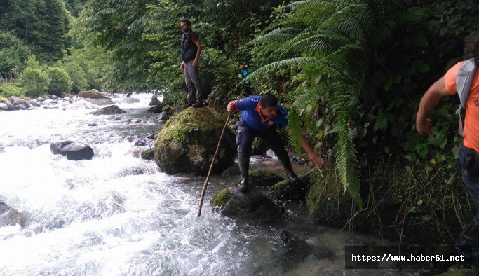 Rize'de dereye düşen Nehir her yerde aranıyor