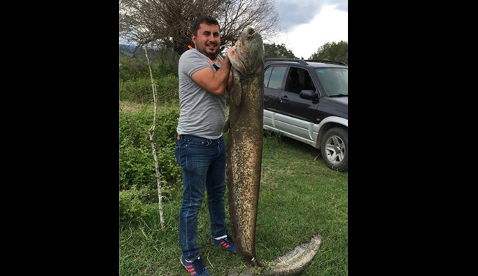 Dev yayın balığı görenleri şaşırttı