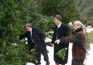 Trabzon'da şimşir üretimi