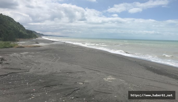 Alaplı'da plajlar temiz çıktı