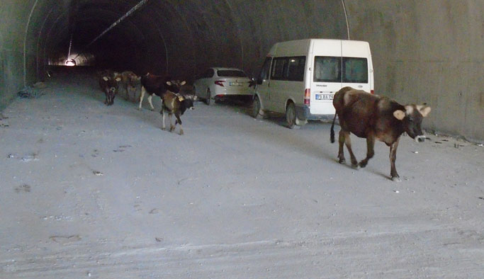 Ovit’teki Çığ Tüneli’ni ilk onlar kullandı