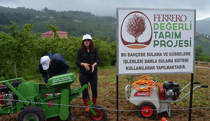 Fındık bahçelerinde devrim