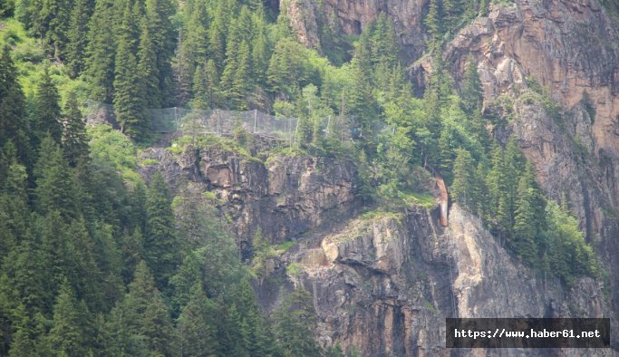 Sümela'da kaya operasyonu