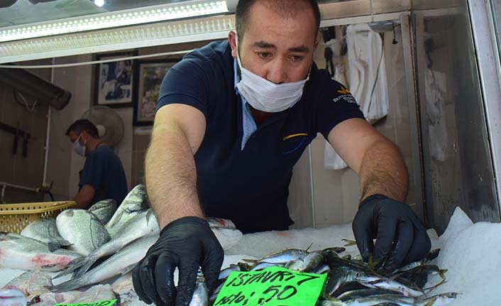 Kıtlık balık fiyatlarını arttırdı