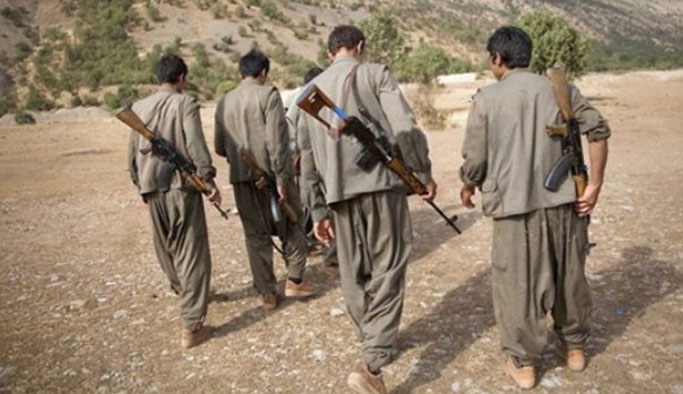 1 terörist teslim oldu, 2 işbirlikçi gözaltına alındı