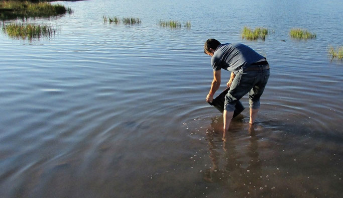Giresun'da gölete sazan bırakıldı