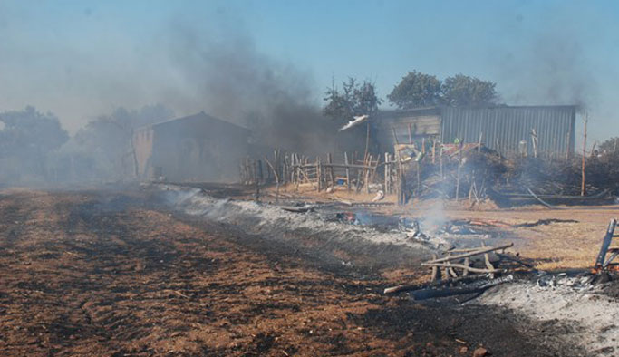 10 hektardan fazla alan kül oldu