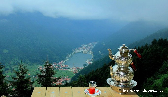 Çaykara ve Uzungöl işletmecilerine eğitim verilecek