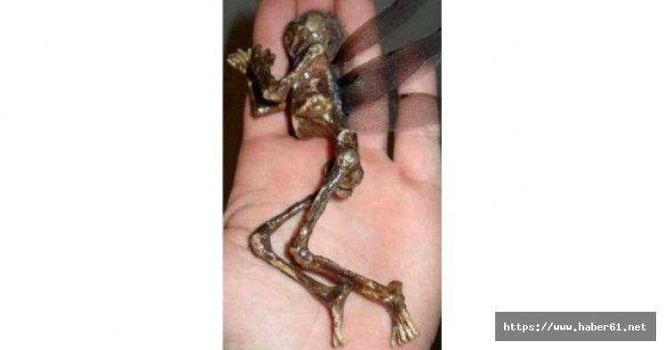 Bilimi karıştıran o fotoğraf meğer...