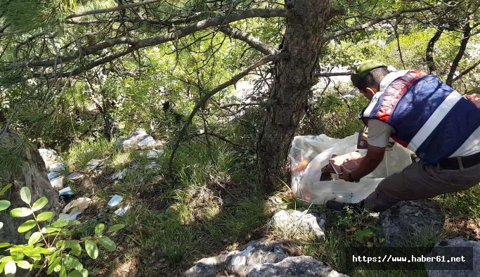 Elebaşı Gülen'in kitapları uçurumda bulundu