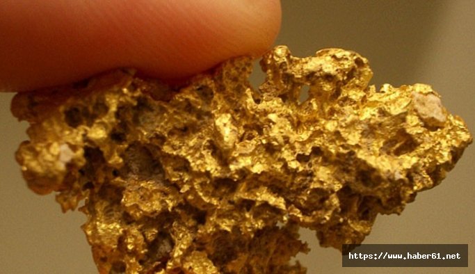 Doğu Karadeniz'in altı üstü maden kaynıyor