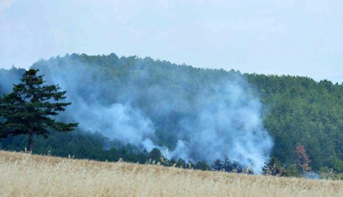 Karabük'te orman yangını