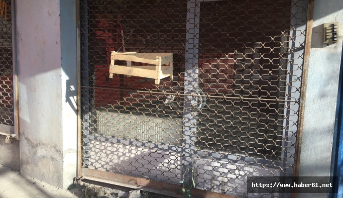 Yeni Spor Bakanı Bak, Hakkarili çocukları sevindirdi