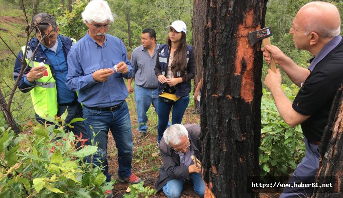 Meksika ve Honduras'lı biyologlar Karadeniz'i inceledi