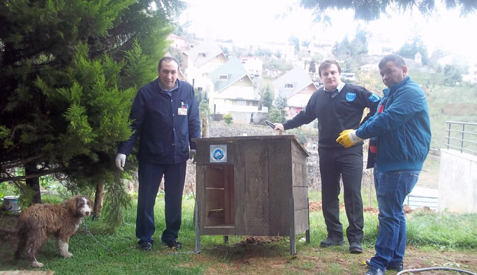 Ortahisar'dan sokak hayvanlarına barınak