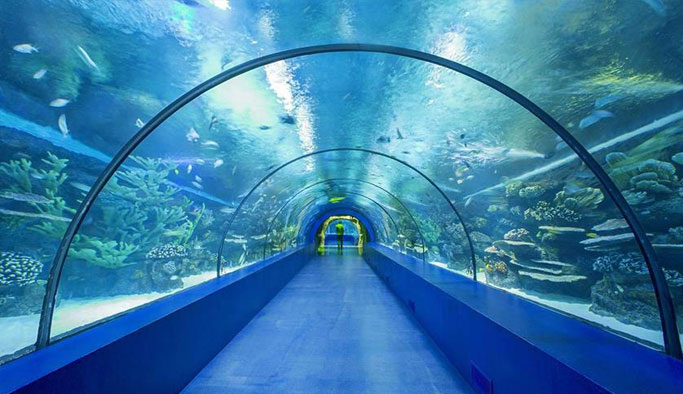 Trabzon'a yapılacak proje için yer tahsisi yapıldı