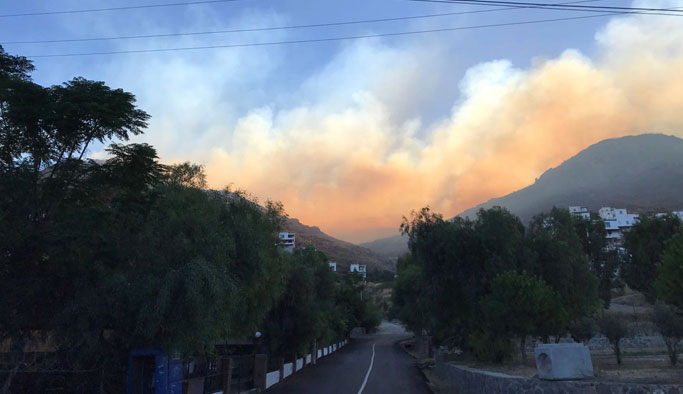 Ciğerlerimiz yandı: 20 Hektar alan