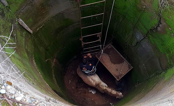 Onun için itfaiye ekipleri seferber oldu!