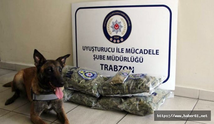 Trabzon’da uyuşturucu ve kaçakçılıkla mücadele 