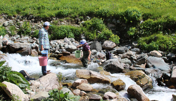 Trabzon'da derelere 562 bin alabalık salındı