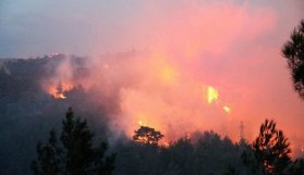 Kaz Dağları'nda feci yangın! 4 ayrı noktada birden