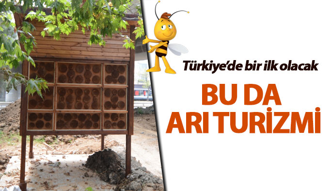 Trabzon'da yaban arıları için otel!