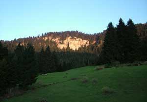 Gümüşhane Albüm Oluyor