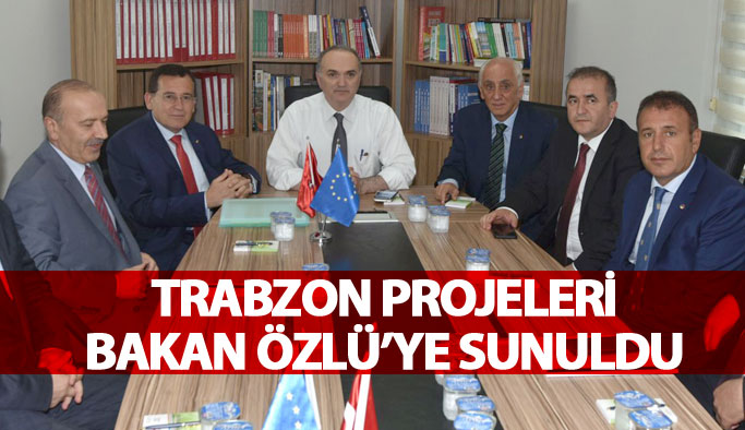 Trabzon projeleri Bakan Özlü'ye sunuldu