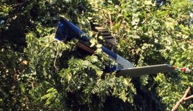 Helikopter düştü: 2 polis öldü