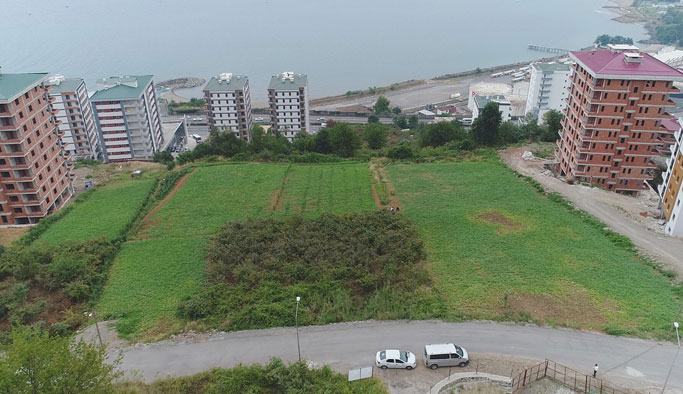 Yalıncak karpuzu betonlaşma kurbanı