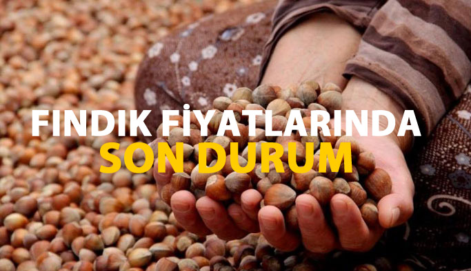 Fındık fiyatları ne kadar oldu? Fındık fiyatında son durum
