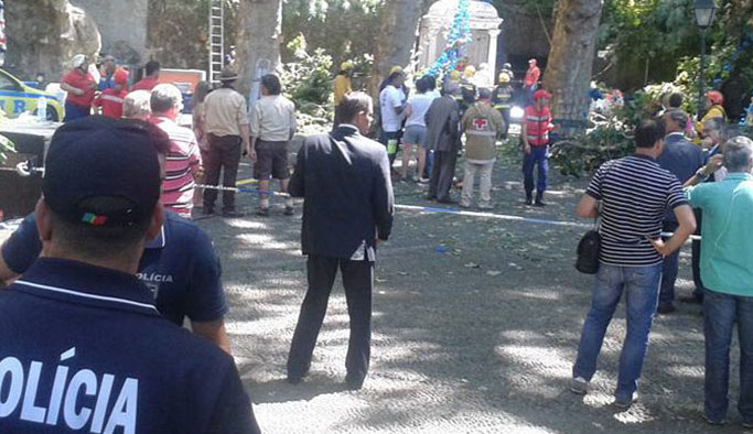 Festival alanında ağaç devrildi: 11 ölü