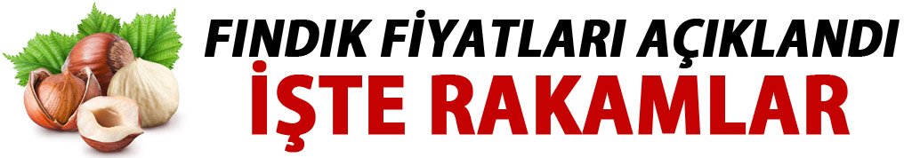 Fındık fiyatları açıklandı! Fındık fiyatları ne kadar?