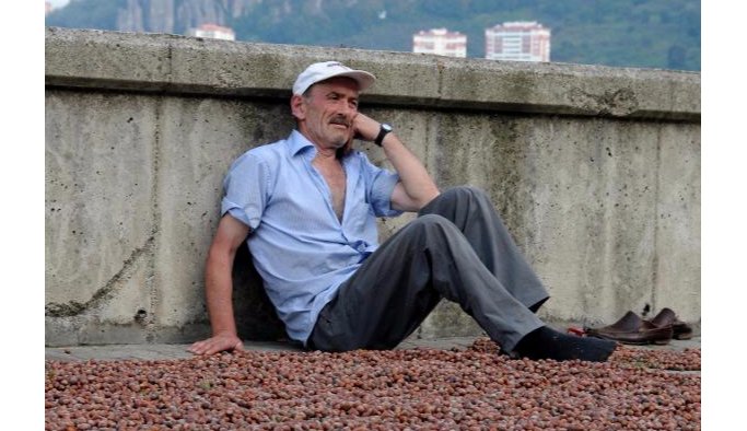 Fındık üreticisinden TMO'ya tepki