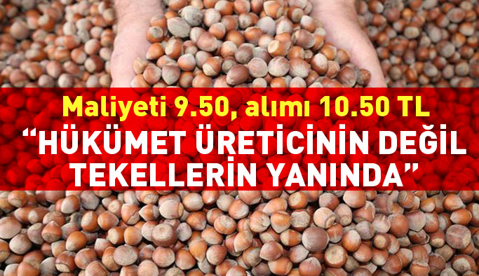 CHP Trabzon'dan 2017 yılı fındık fiyatına tepki