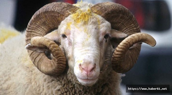 Kurban satıcılarına sahte para uyarısı