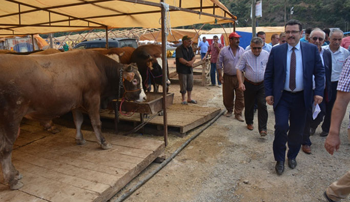 Trabzon'da Kurban pazarına inceleme