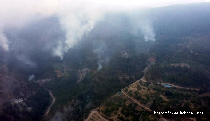 Askerden kaçan teröristler orman yaktı