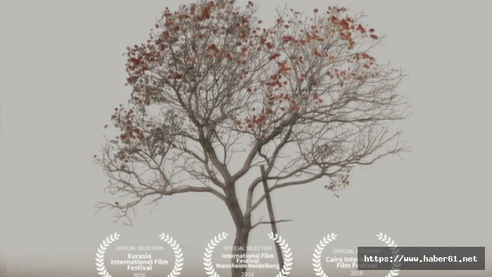 Trabzon’da 2 günde 5 gala!