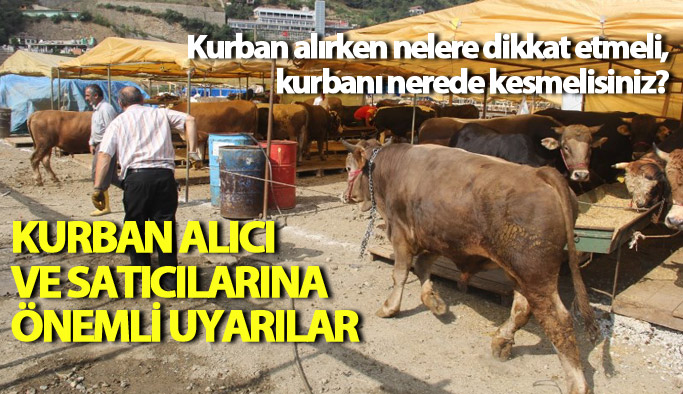 Trabzon'da kurbanlık alacaklara önemli uyarılar