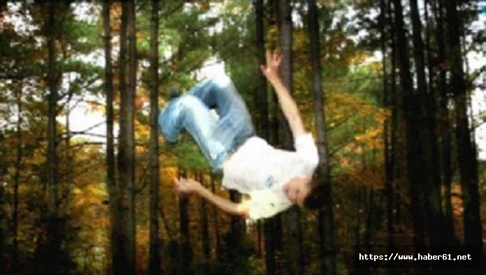 Ağaçtan düşen türkücü omuzunu kırdı