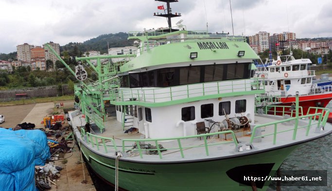 Balıkçılar hamsiden umutlu