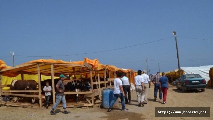 Vatandaşa kurban bayramı uyarısı